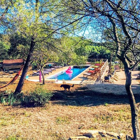 Arche De Noe Atypique, Boheme , Nature, Piscine Chauffee De Paques A Toussaint , Spa , Sauna , Loisirs Le Beausset Kültér fotó